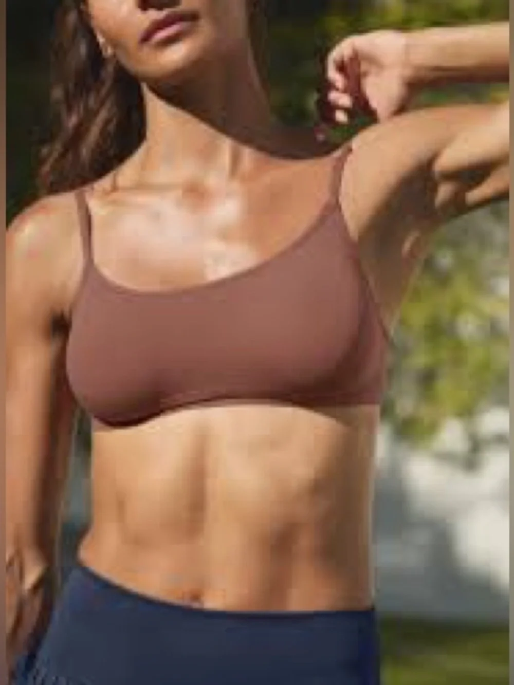 ALO Sheer Glo Bra Chestnut Small
